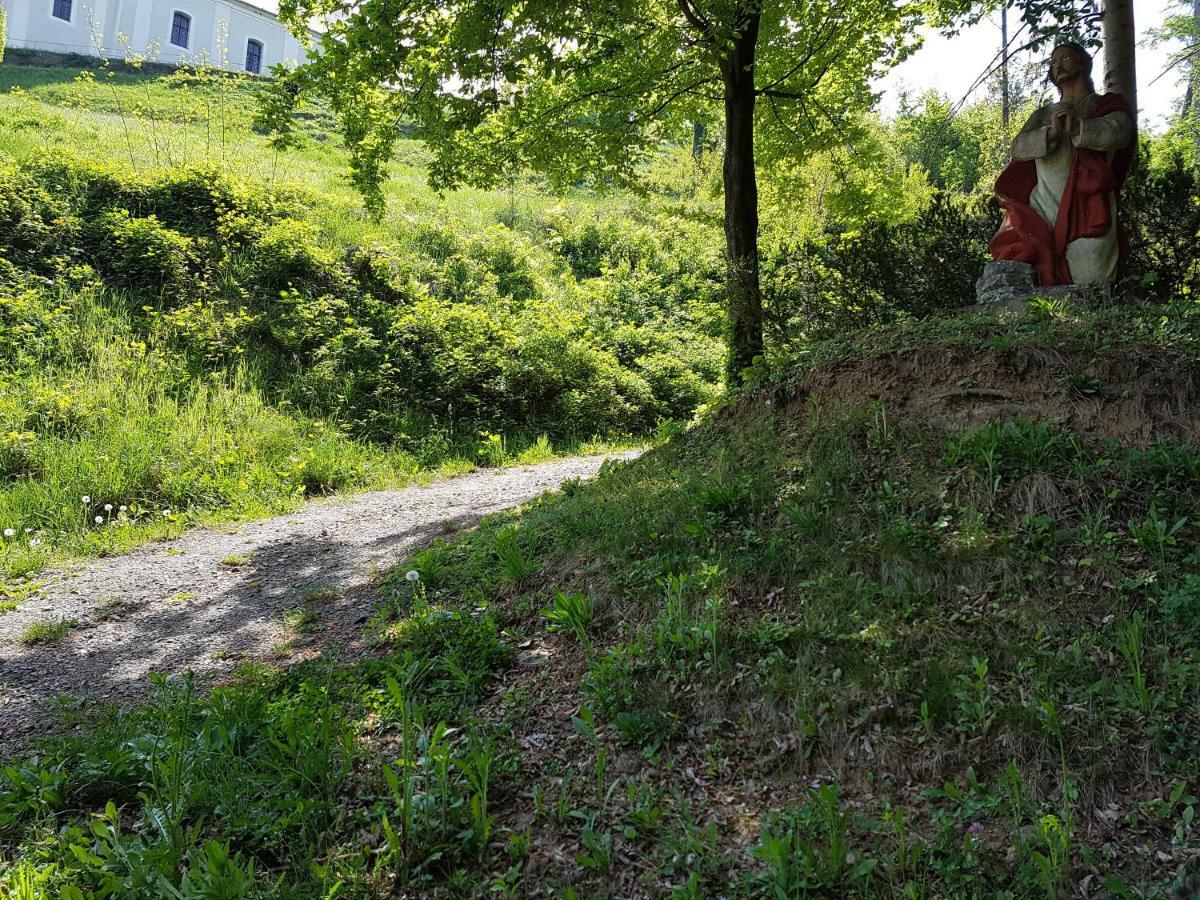 Gasthof Restaurant Steirereck'N Schwanberg Dış mekan fotoğraf